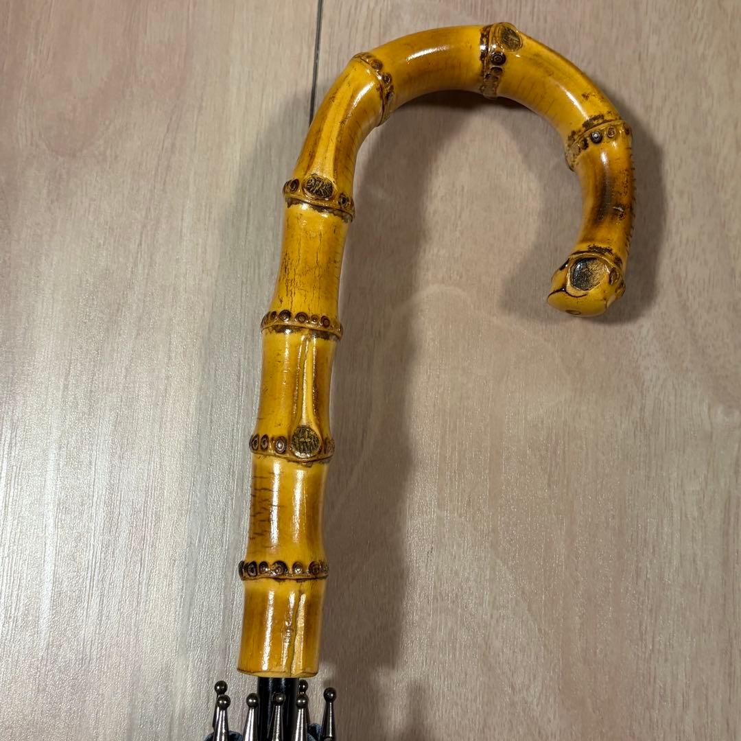 サンバリア100 日傘 完全遮遮光 Lサイズ フロスト 長傘 神崎恵