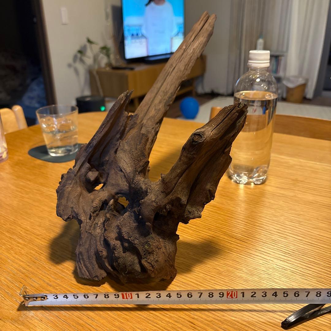 【早い者勝ち】ADA流木3本、他流木2本