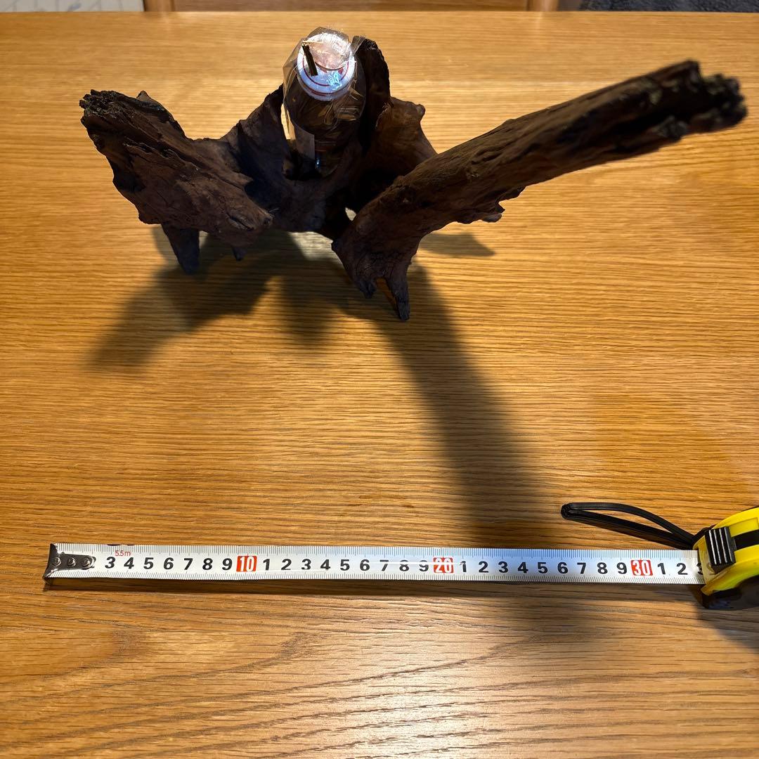 【早い者勝ち】ADA流木3本、他流木2本