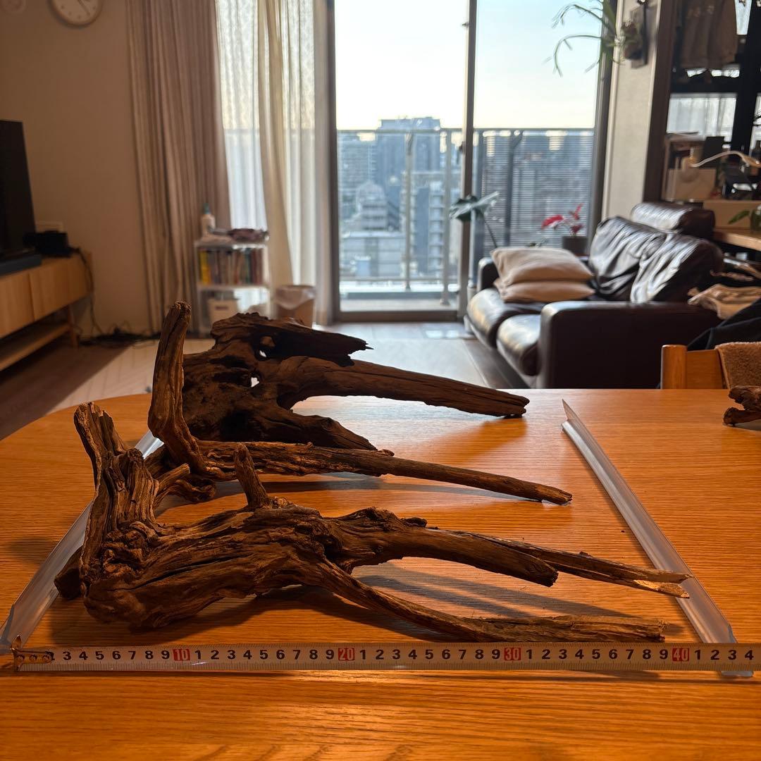 【早い者勝ち】ADA流木3本、他流木2本