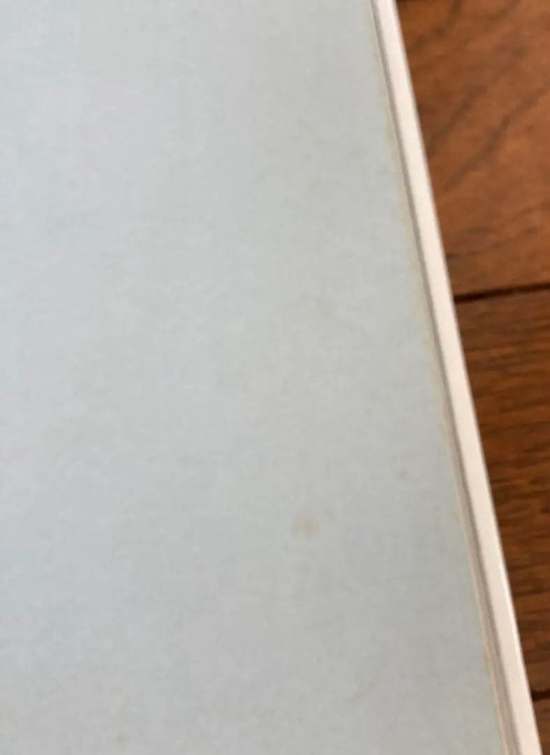 エレン　フレンチ・フォトグラフィ？ エレン フライス　　Helene