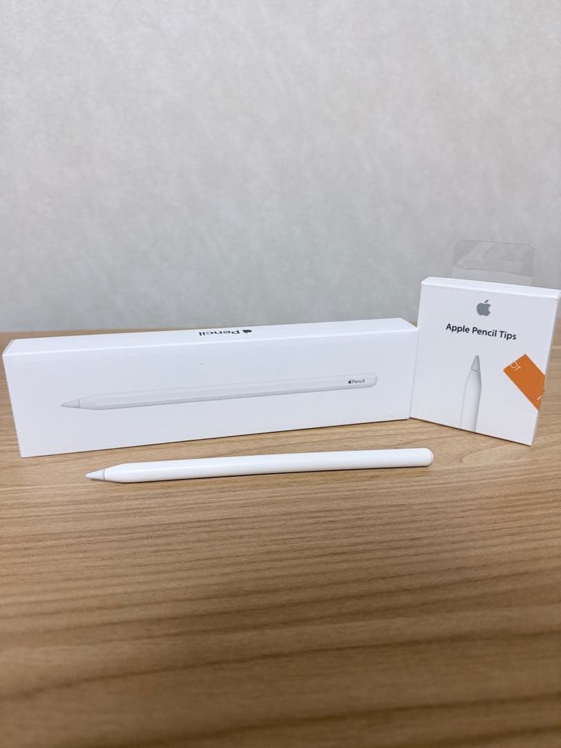 iPad Pro 12.9 512GB Wi-Fi + Cellular モデル