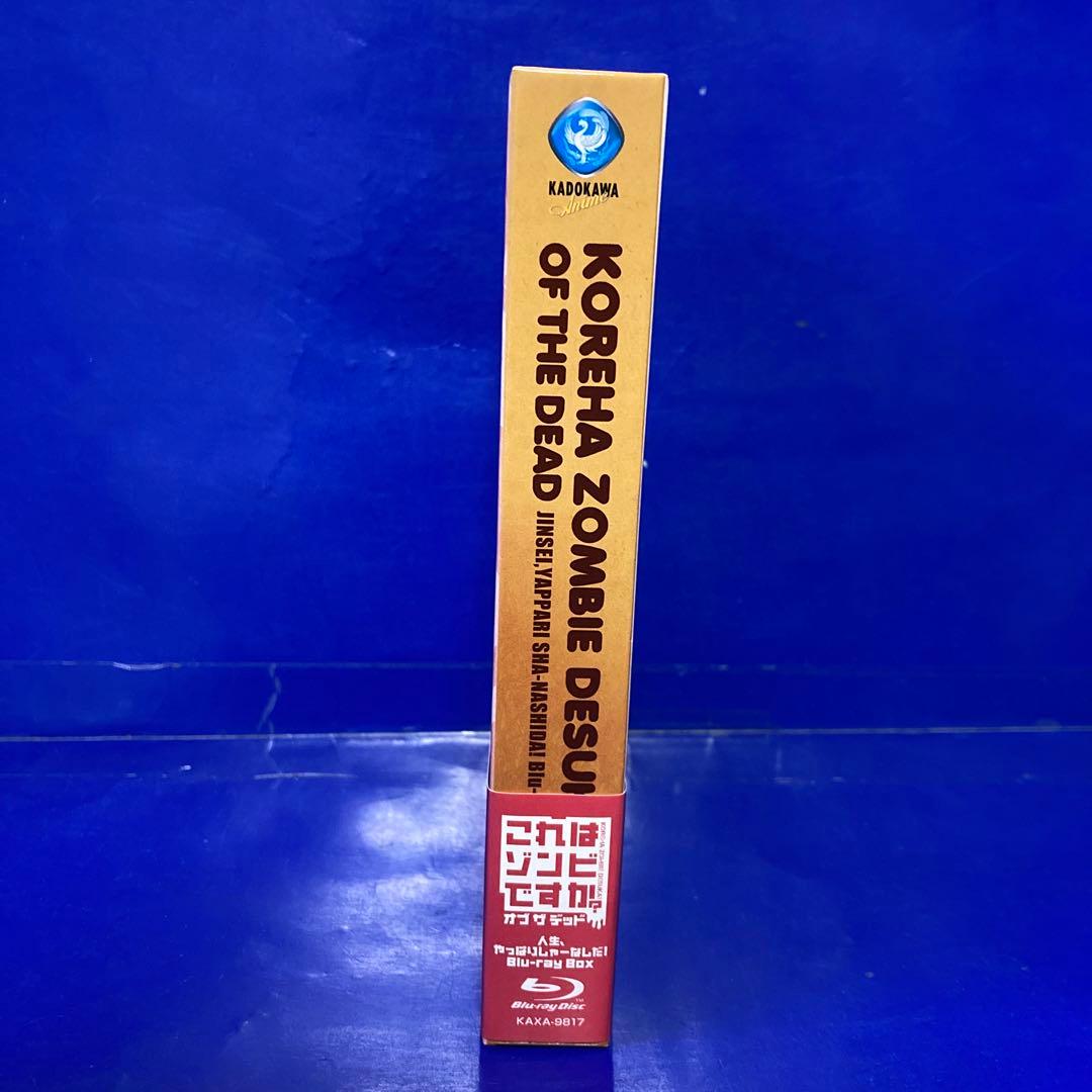 これはゾンビですか?オブ・ザ・デッド 人生、やっぱりしゃーなしだ!Blu-ray