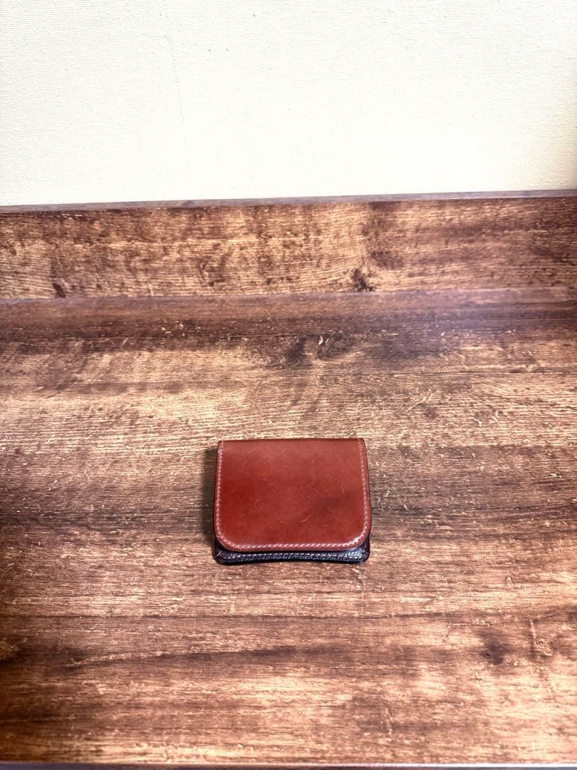 【希少】 WILDSWANS 2024 CASA ワイルドスワンズ カーサ