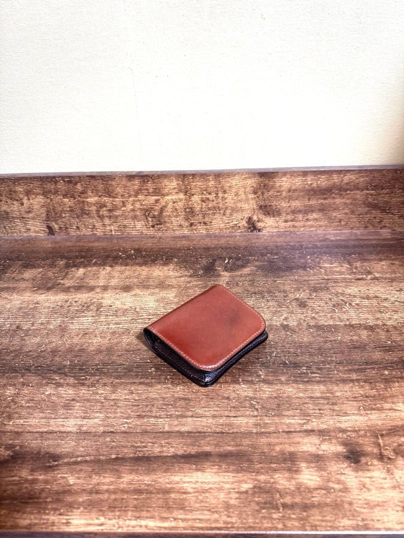 【希少】 WILDSWANS 2024 CASA ワイルドスワンズ カーサ