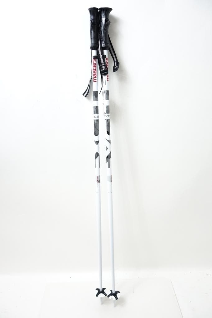 1回使用 サロモンカービングスキー ストリートレーサー4 ストック付き