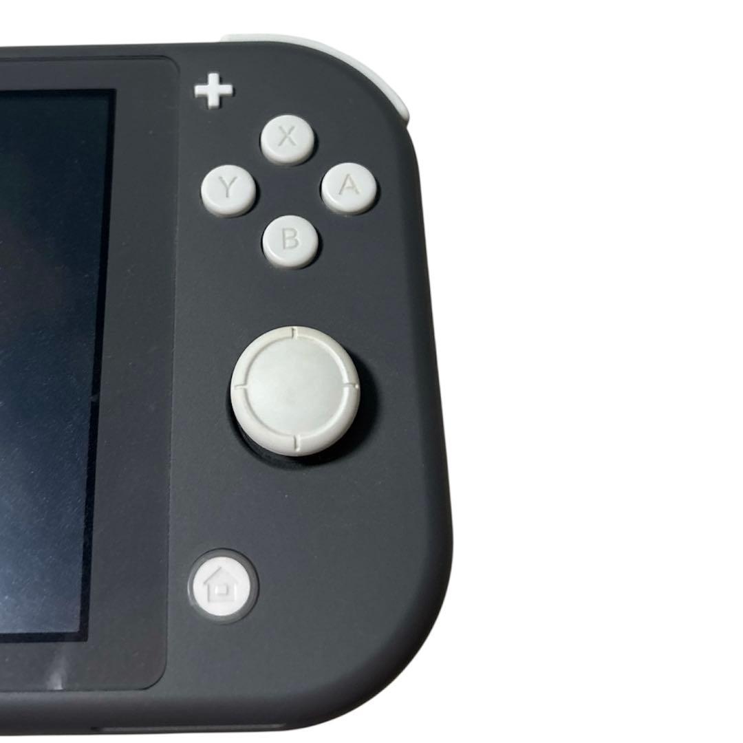 Nintendo Switch Lite 本体 ＋ どうぶつの森、ポケモン