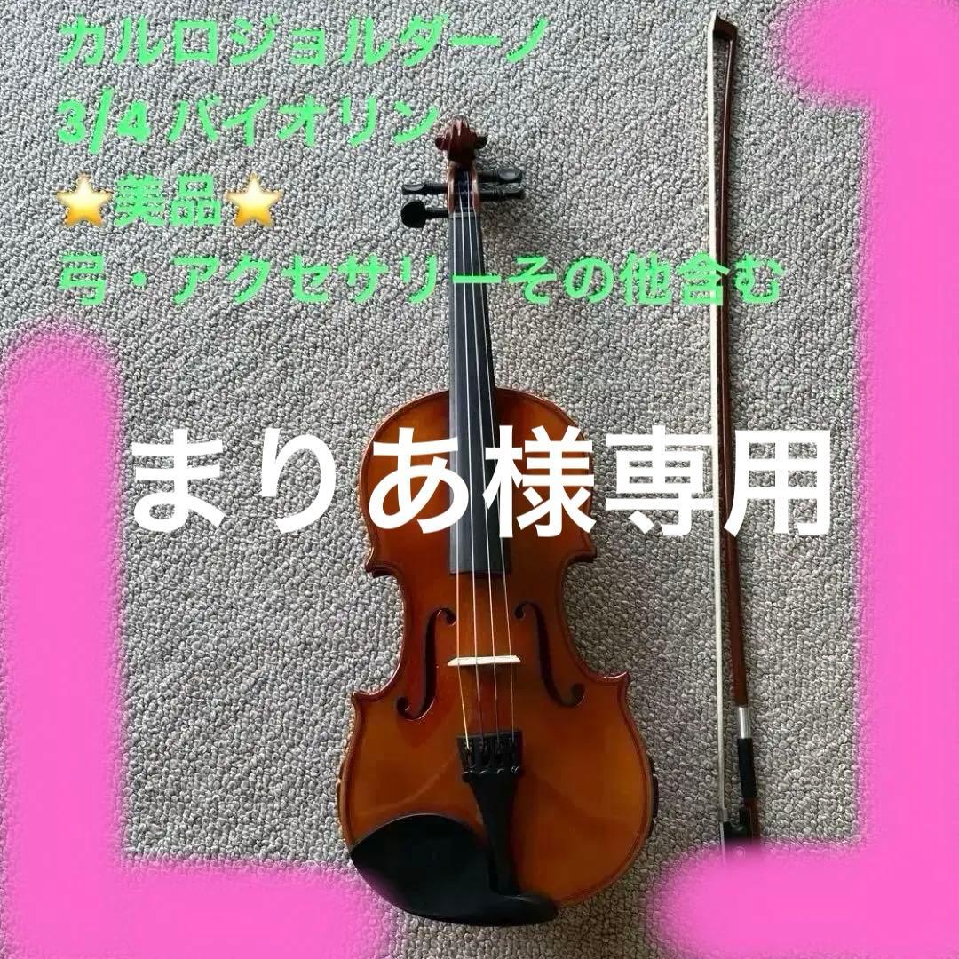 【美品】カルロジョルダーノ　バイオリンセット　VS-1　3/4