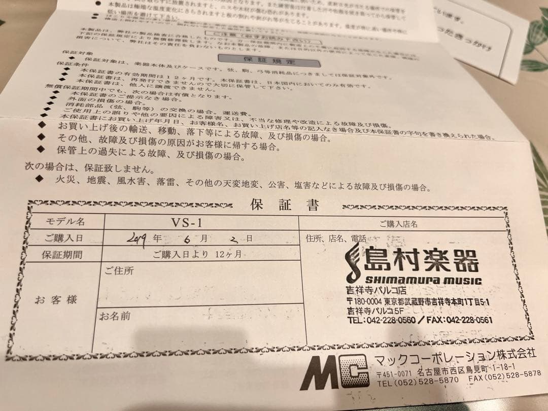 【美品】カルロジョルダーノ　バイオリンセット　VS-1　3/4