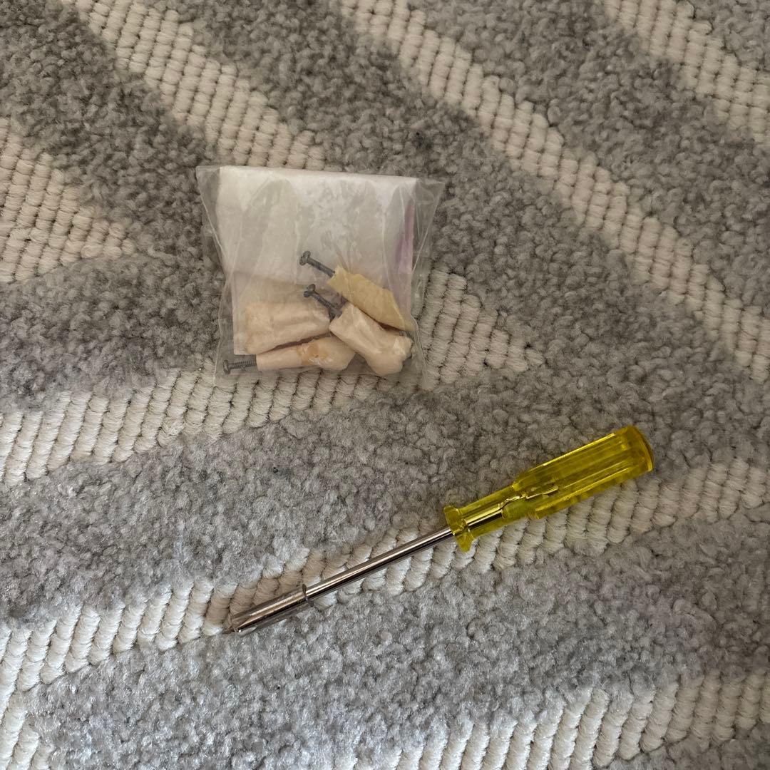 ニッシン顎模型