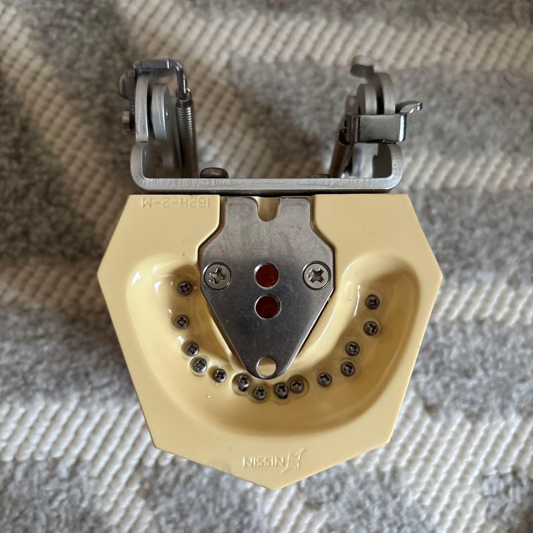 ニッシン顎模型