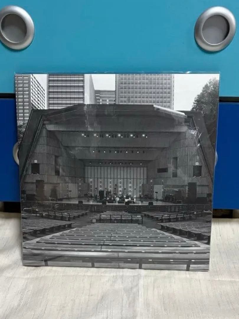 カネコアヤノ 野音ライブレコード アナログ