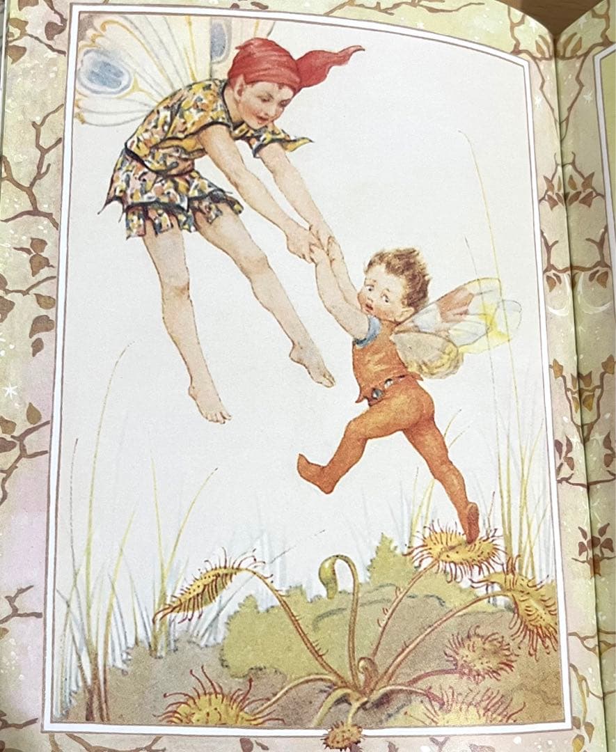 No151 希少　洋書 絵本 フラワーフェアリーズ 花の妖精