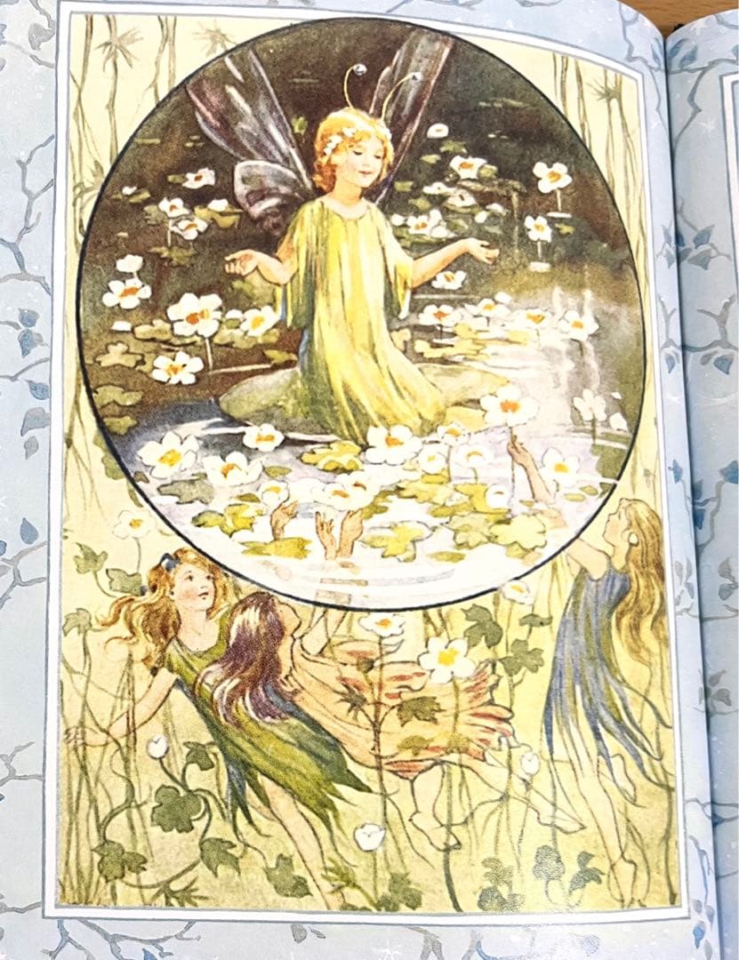 No151 希少　洋書 絵本 フラワーフェアリーズ 花の妖精