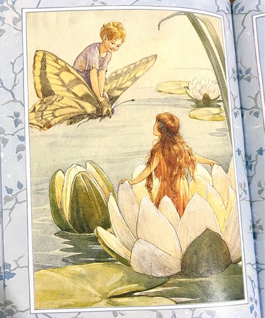 No151 希少　洋書 絵本 フラワーフェアリーズ 花の妖精