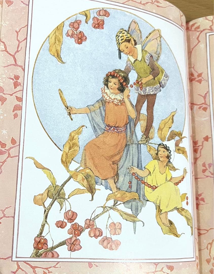 No151 希少　洋書 絵本 フラワーフェアリーズ 花の妖精