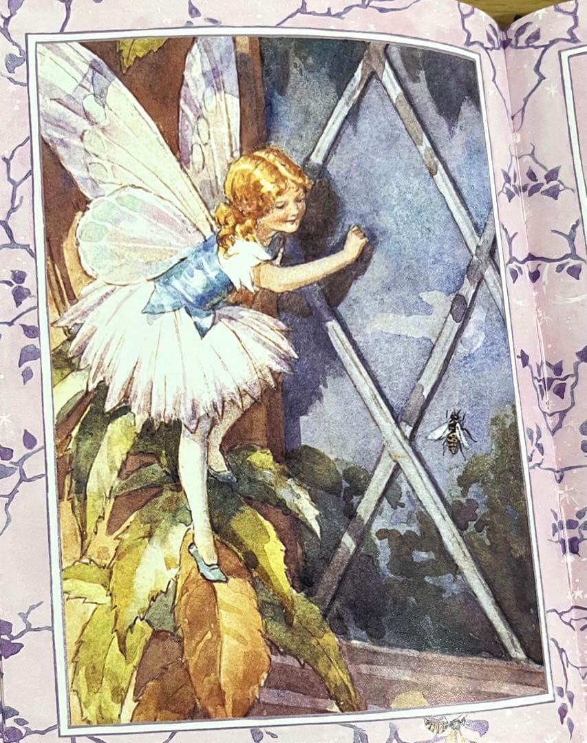 No151 希少　洋書 絵本 フラワーフェアリーズ 花の妖精
