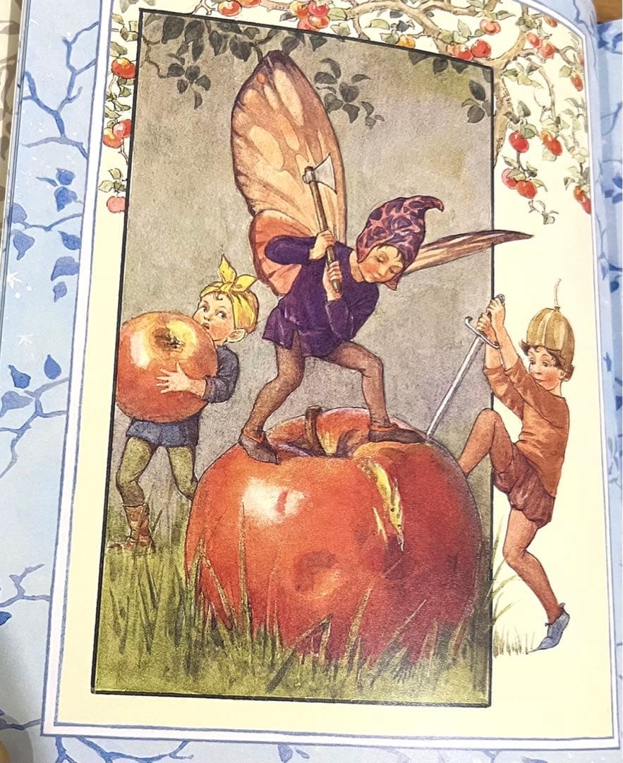 No151 希少　洋書 絵本 フラワーフェアリーズ 花の妖精