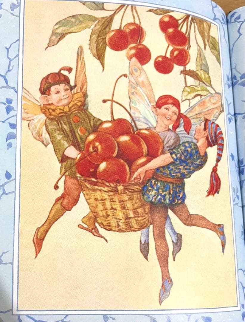 No151 希少　洋書 絵本 フラワーフェアリーズ 花の妖精