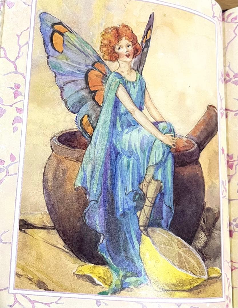 No151 希少　洋書 絵本 フラワーフェアリーズ 花の妖精