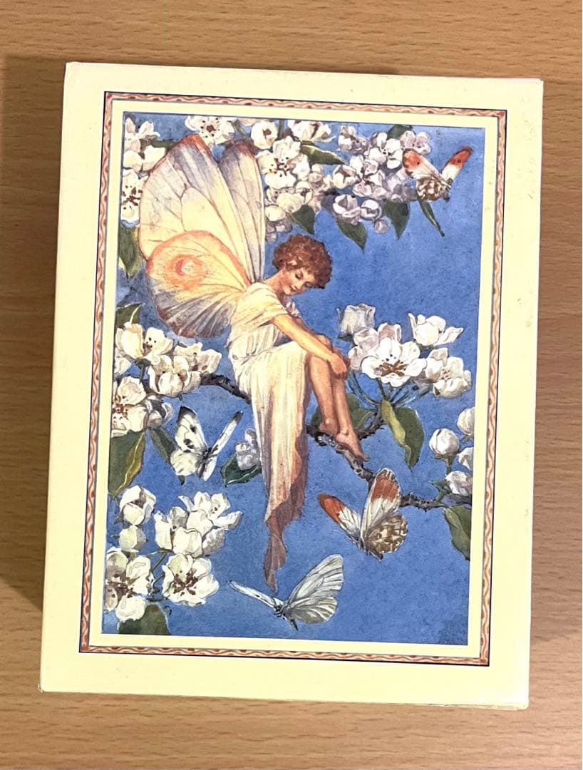 No151 希少　洋書 絵本 フラワーフェアリーズ 花の妖精