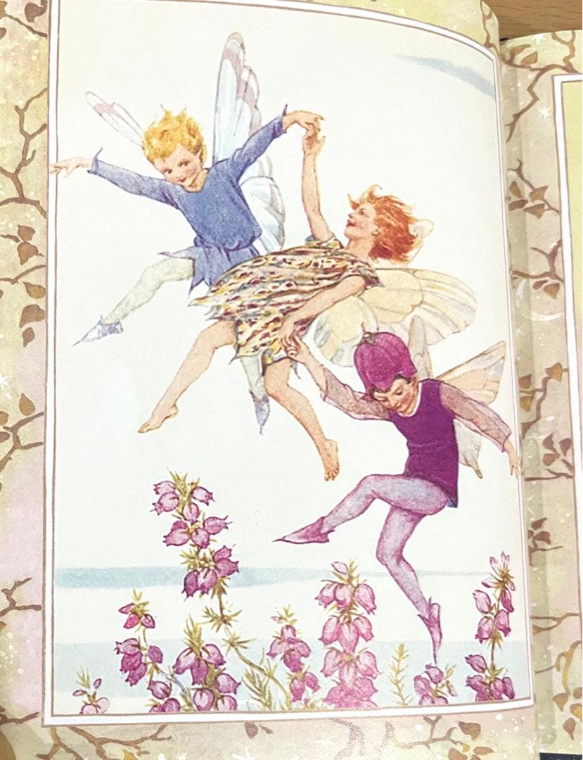 No151 希少　洋書 絵本 フラワーフェアリーズ 花の妖精