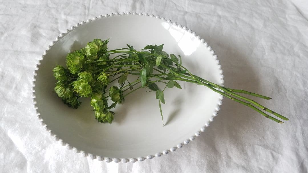 MAISON DE FAMILLE皿