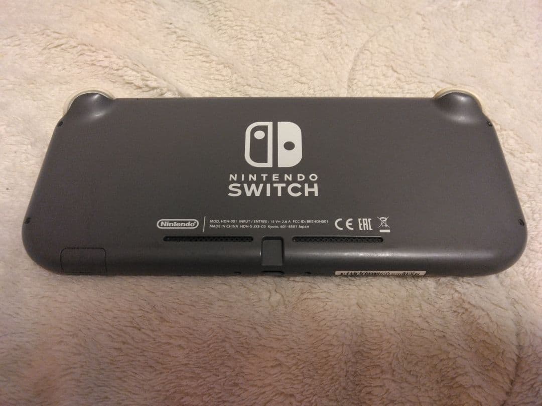 スイッチライトグレー2019年モデル