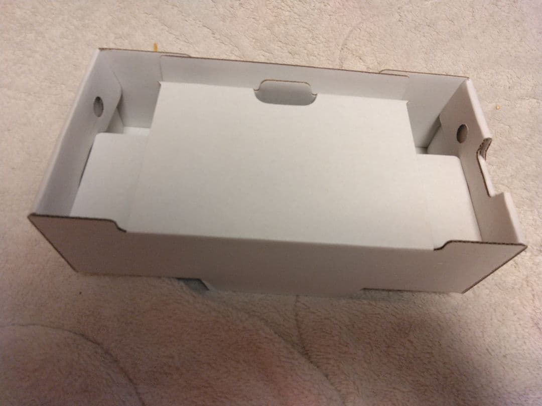 スイッチライトグレー2019年モデル