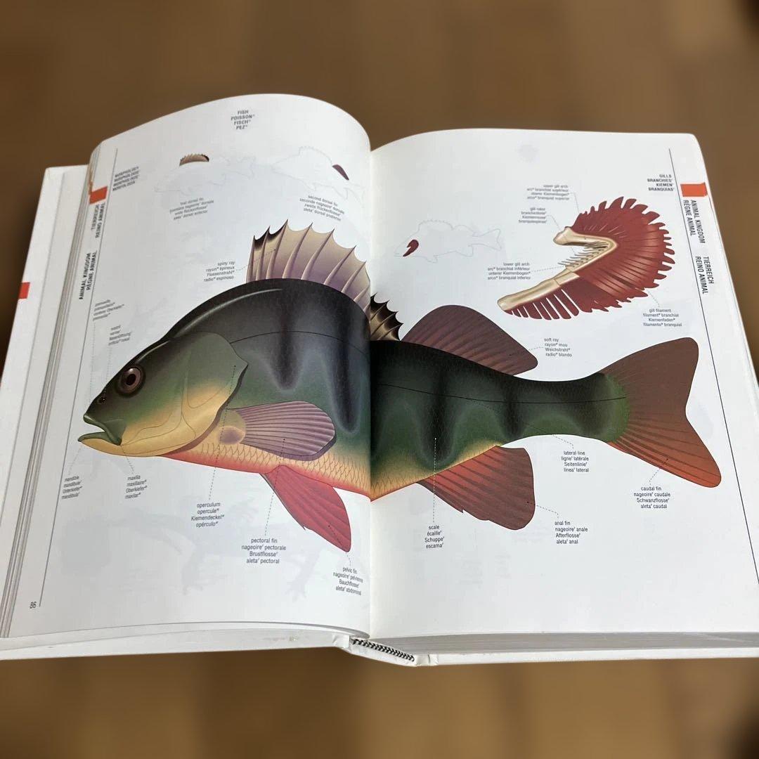 Oxford Visual Dictionary 英語・仏語・独逸語・スペイン語