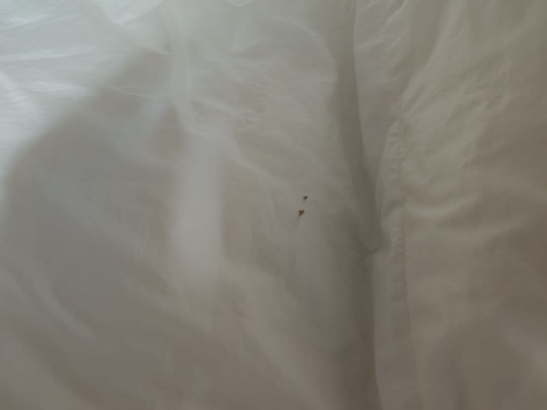 昭和西川 羽毛合掛 ポーランドルベルスキェホワイトマザーグース95