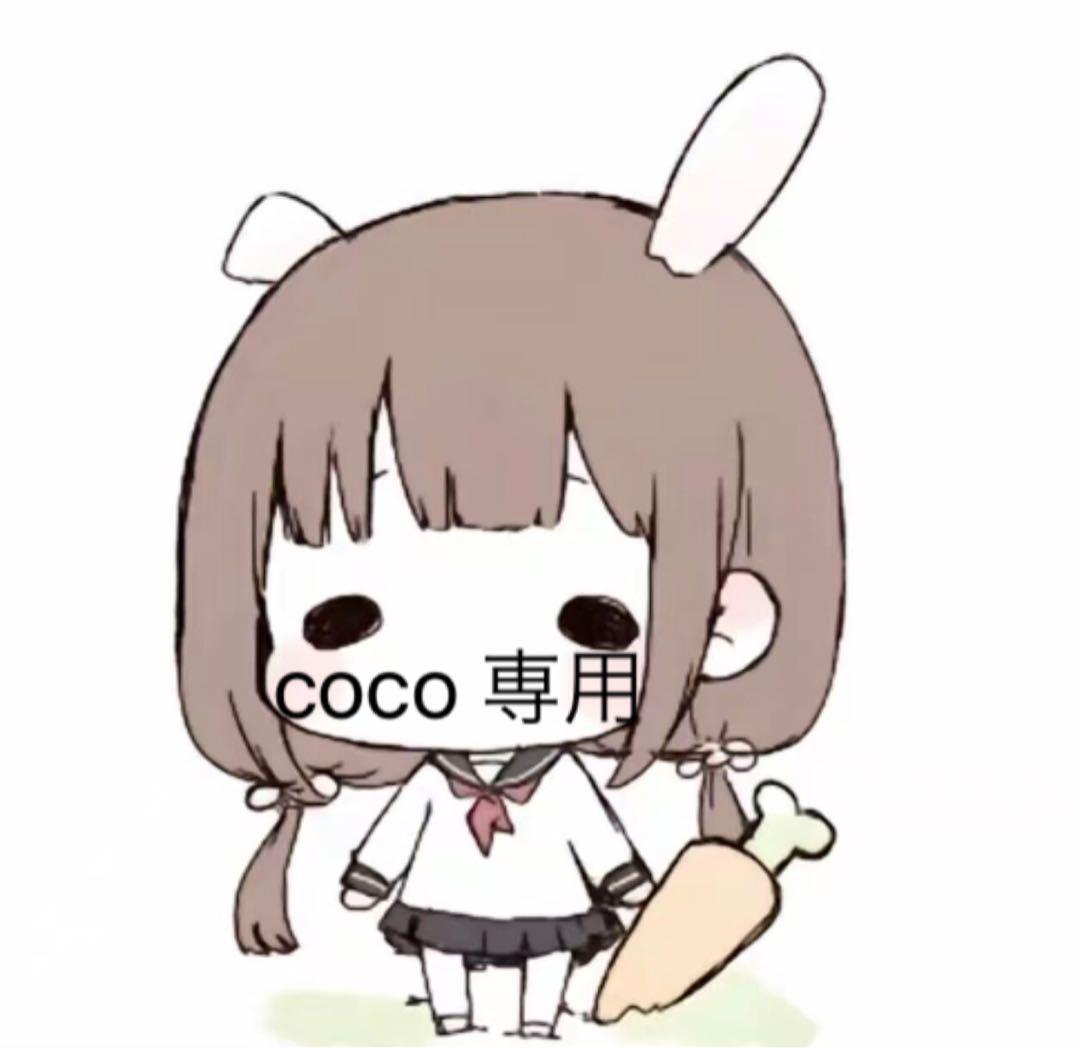 coco 専用