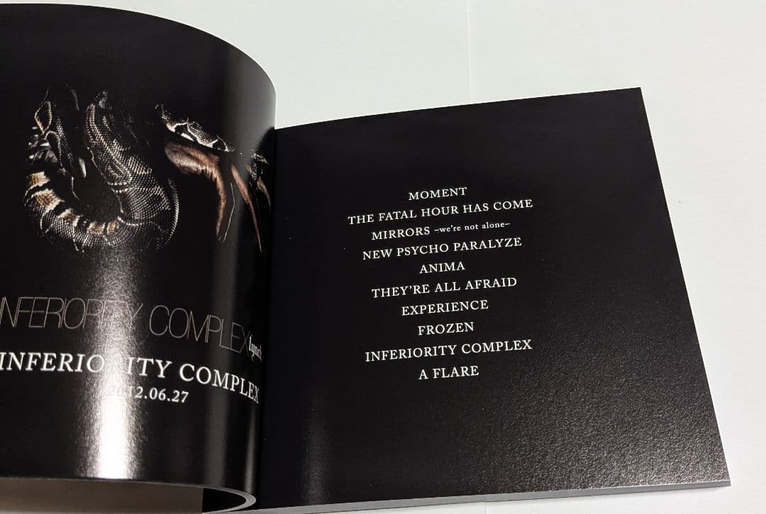 lynch. 2011-2020 BOX CD Blu-ray付完全限定