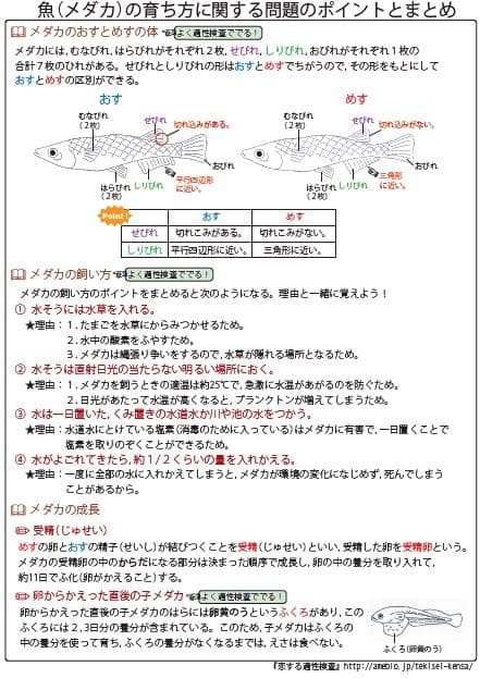 栃木県立共通問題版「塾に通わなくても効率よく最短で合格 志望校別お買い得セット」