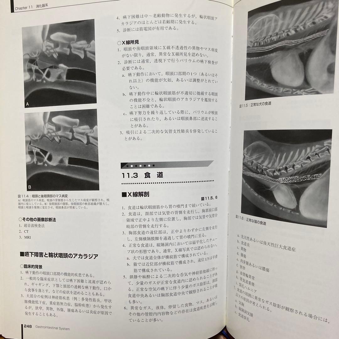 小動物の臨床X線診断 [第2版]