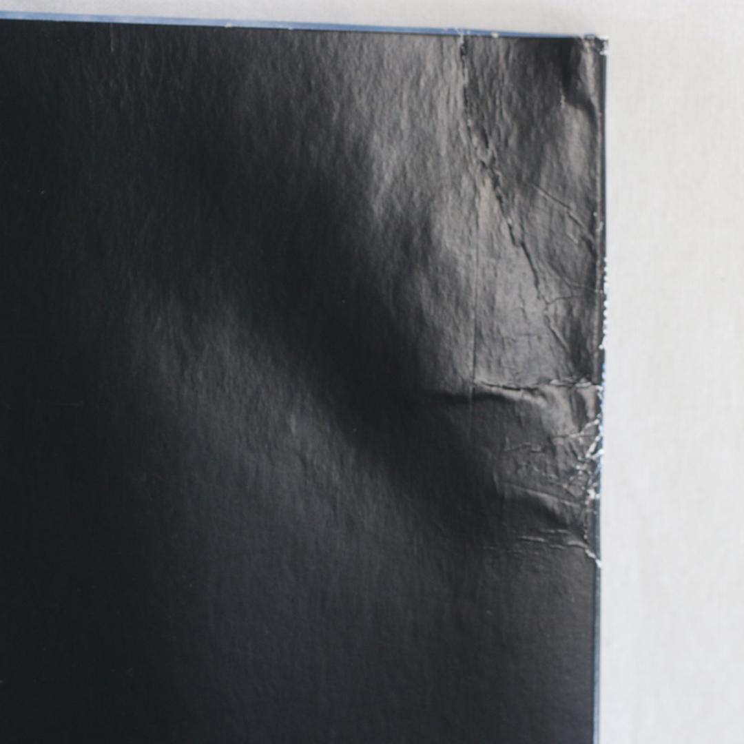 英LP The Who Who's Next ピクチャディスク リマスタver