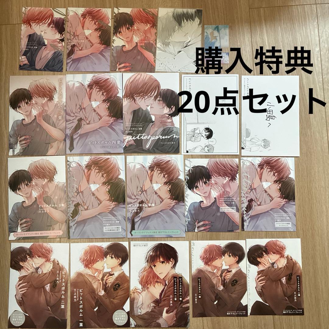 ピットスポルム　特典20点　小冊子　リーフレット　イラストカード　クリアカード