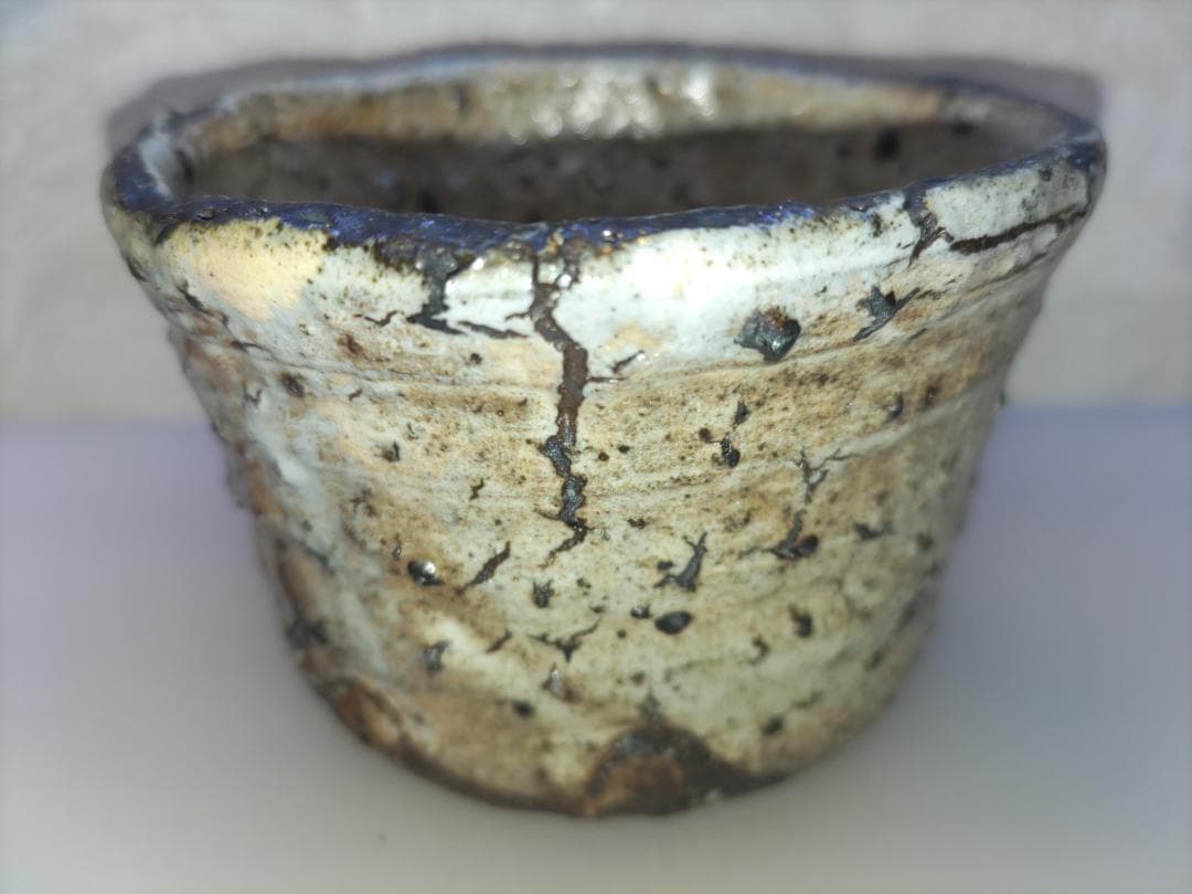 中川自然坊 湯飲み ①