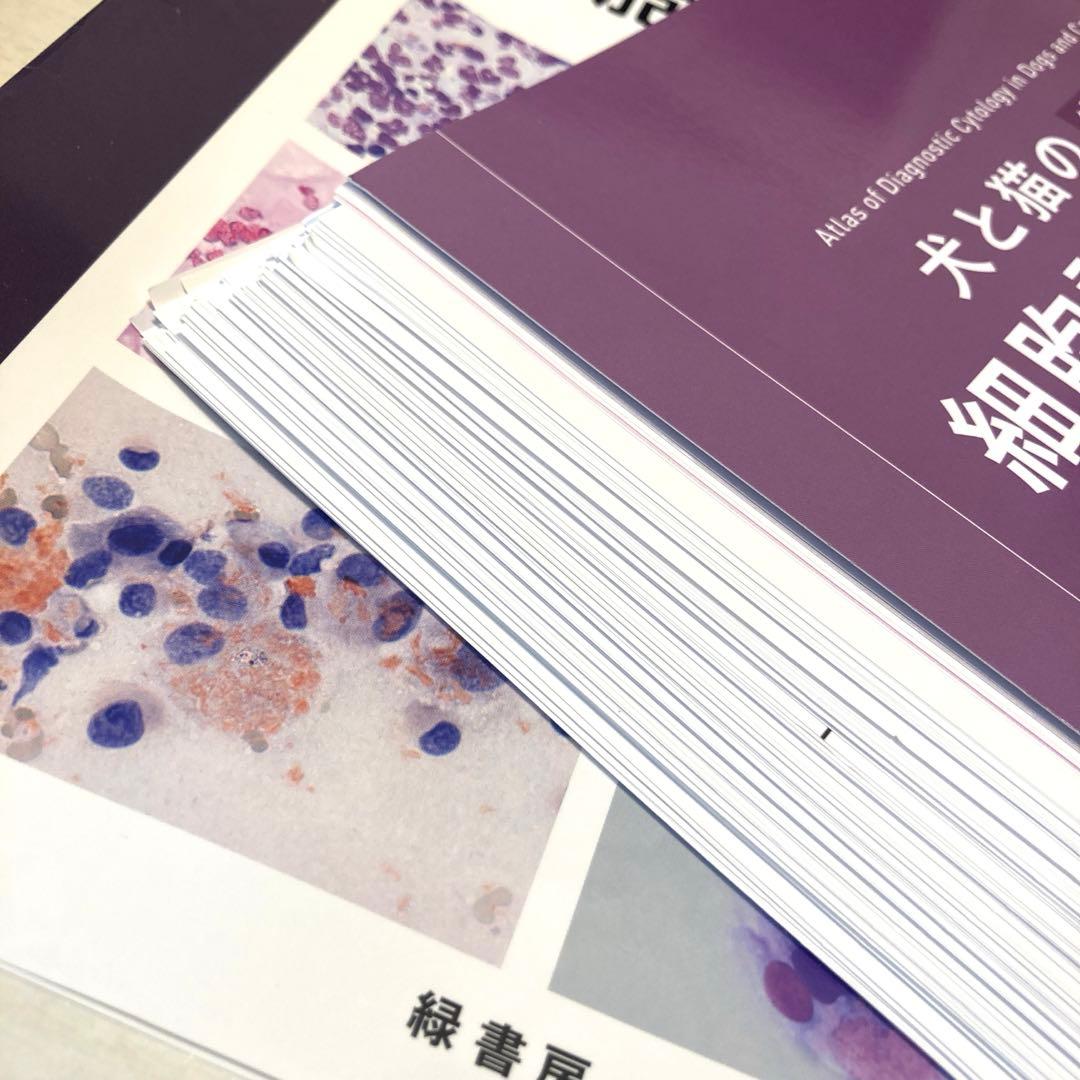 犬と猫の実践 細胞診アトラス