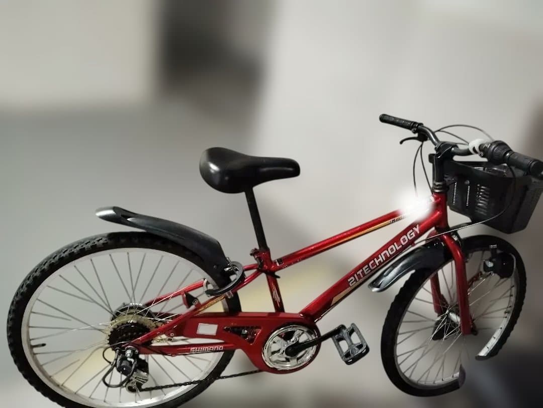 2ITECHNOLOGY ジュニアバイク レッド　24インチ