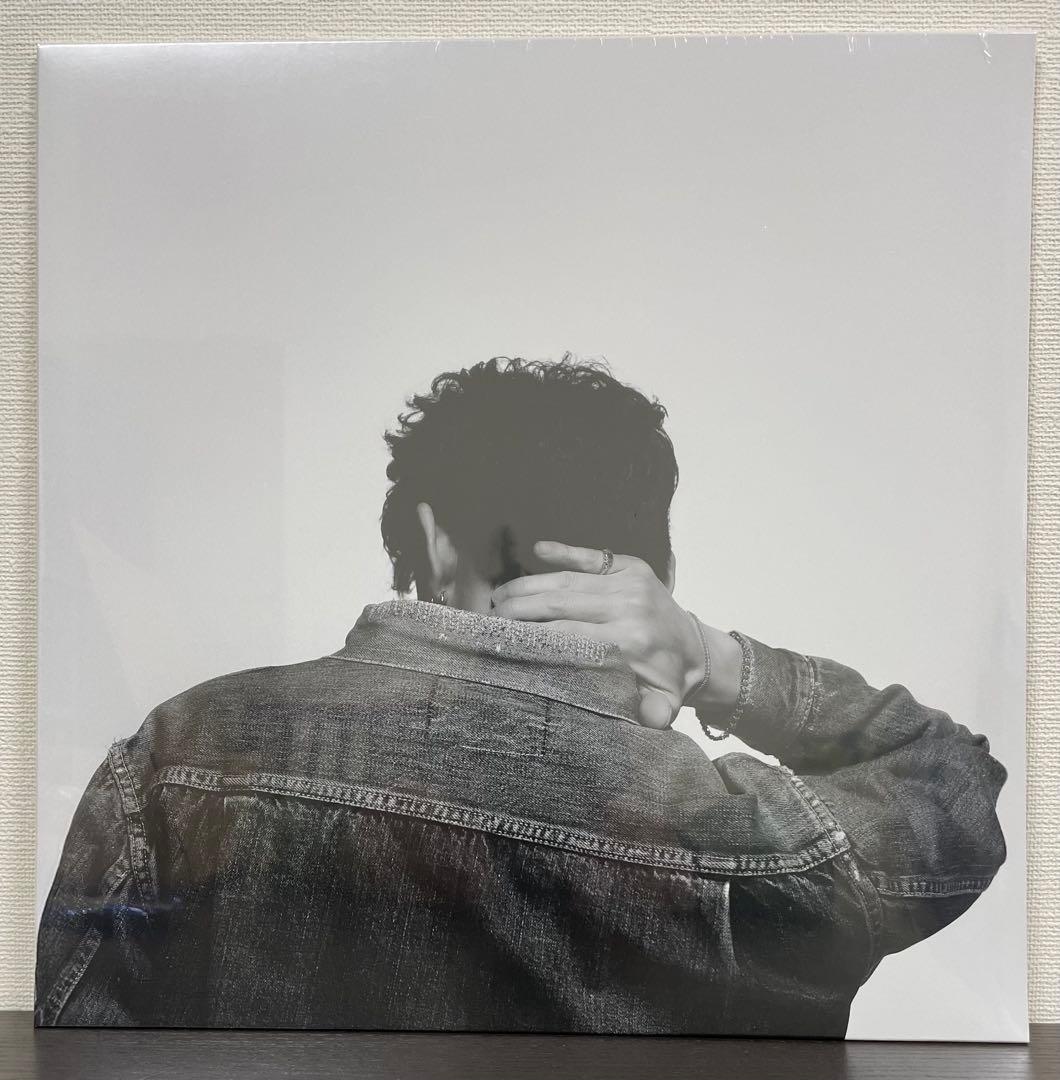 【新品未開封】Terminal 3 アナログレコード