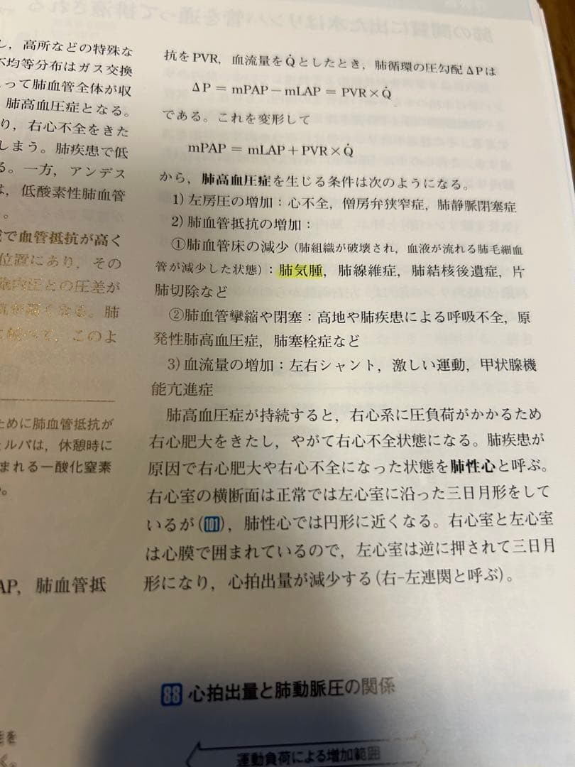 シリアル番号付き‼︎ カラー図解 人体の正常構造と機能(全10巻縮刷版・全1冊)