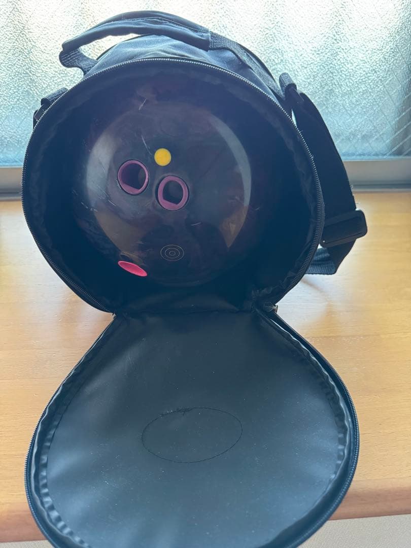 PRO-AM ボウリング用バッグ　ボウリング球セット