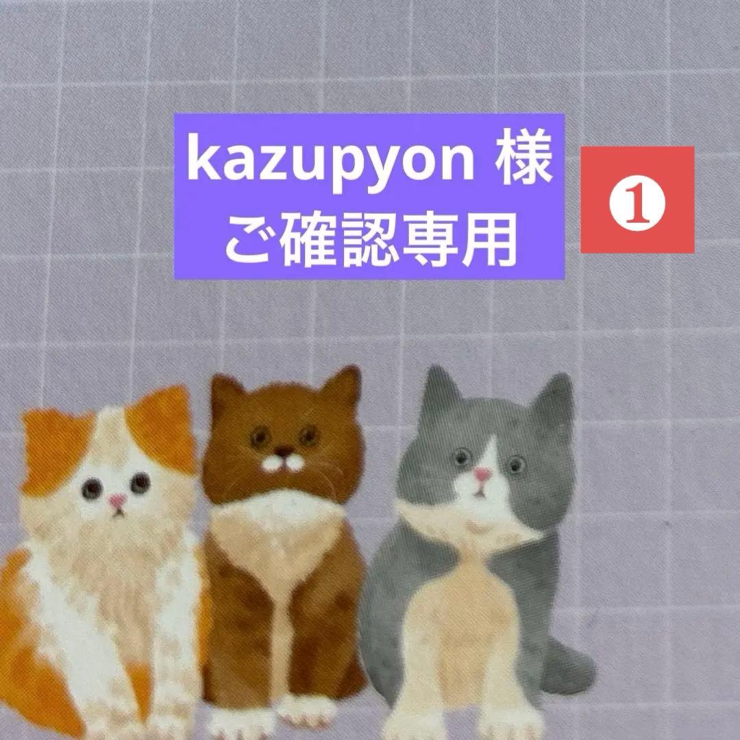 kazupyon 様　ご確認専用