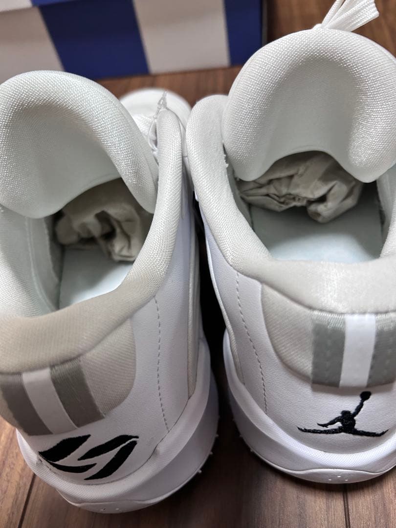 ナイキ　ジョーダン　ルカ3 PF チーム バンク28cm バスケシューズ