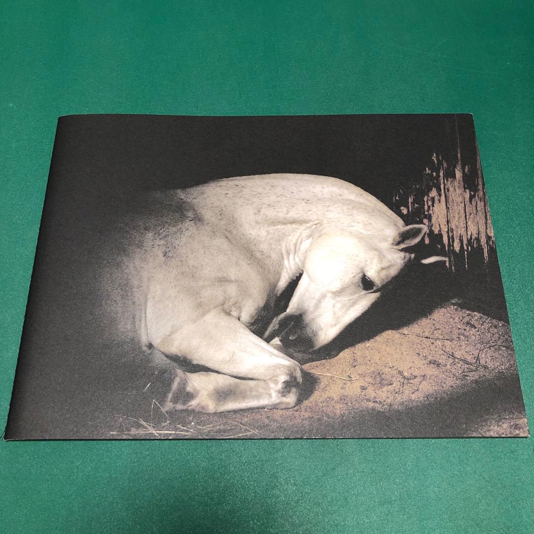 アート・デザイン・音楽 ANIMA by Charlotte Dumas