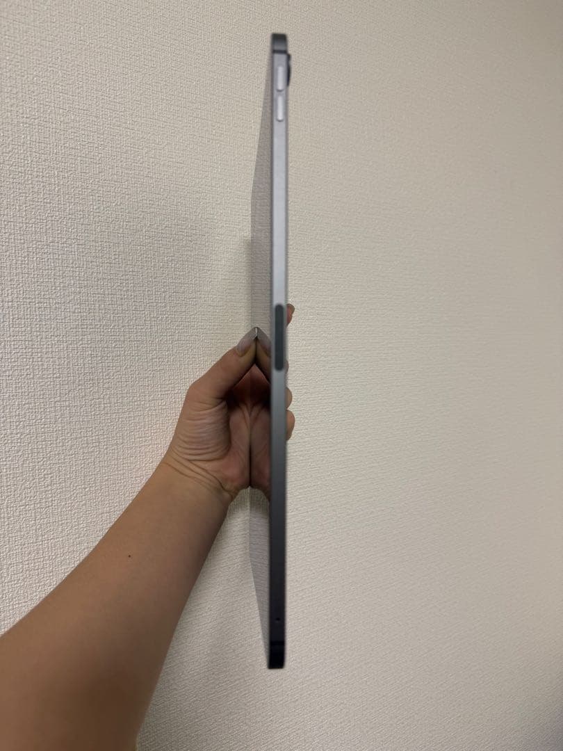 iPad本体 iPad Ari4