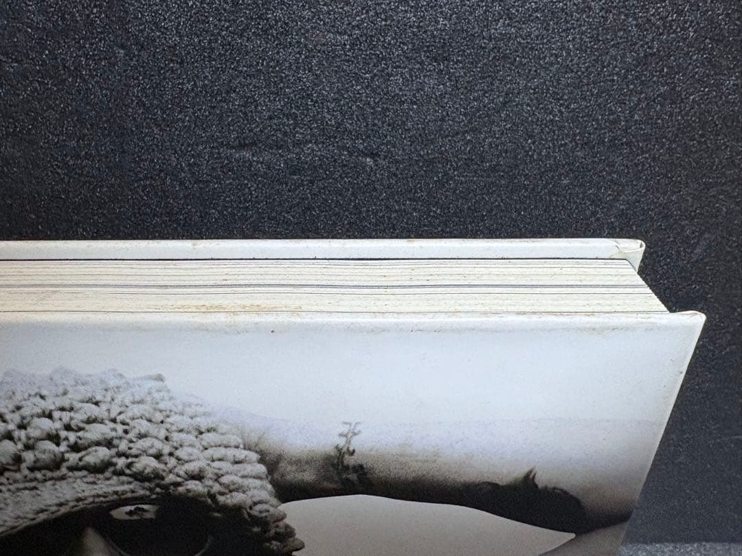 My Free damn！ 1-6巻セット