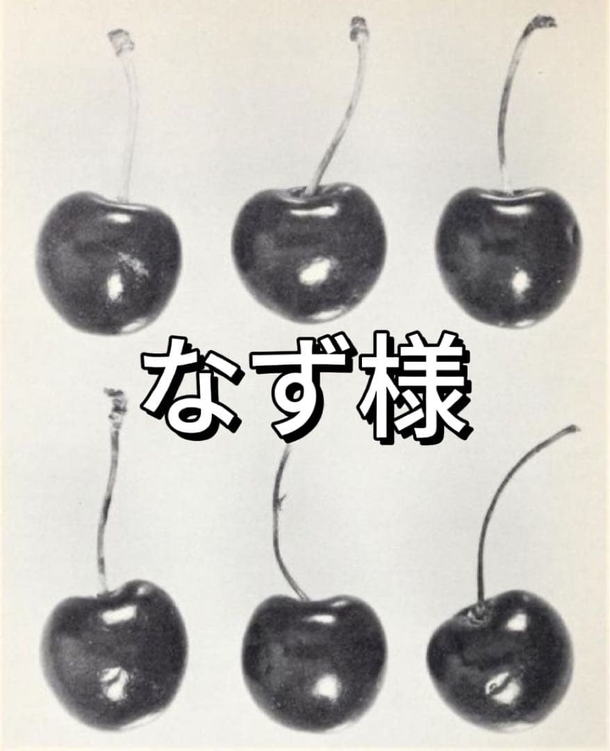 チェリー柄フレアミニスカート