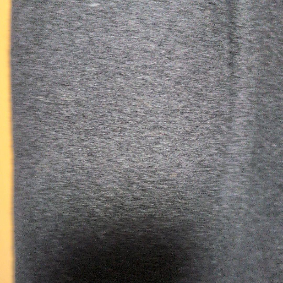 SCHOTT 740N サイズ44 ピーコート